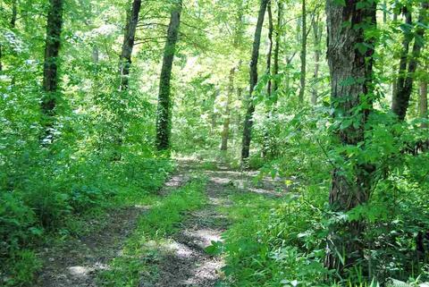 5356 End Line Rd, Marshall, AR 73650 photo 2