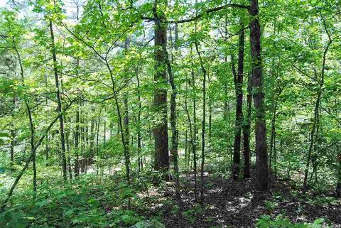 5356 End Line Rd, Marshall, AR 73650 photo 3