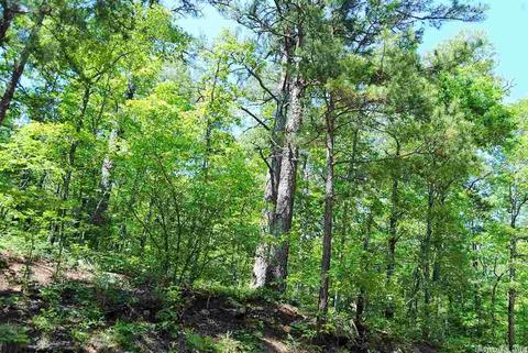 5356 End Line Rd, Marshall, AR 73650 photo 11