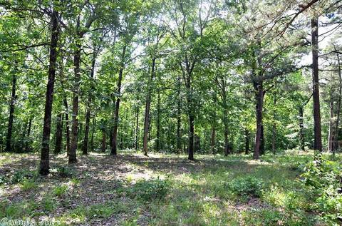 153 Raspberry Ln, Mena, AR 71953 photo 20