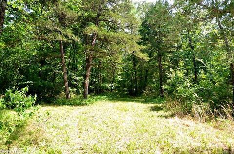 153 Raspberry Ln, Mena, AR 71953 photo 29