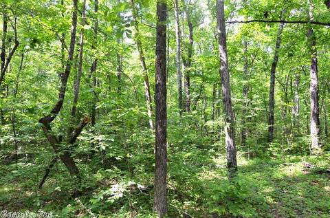 153 Raspberry Ln, Mena, AR 71953 photo 34