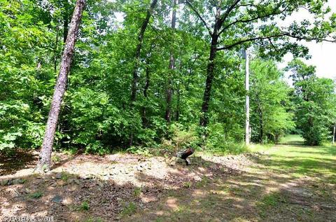 153 Raspberry Ln, Mena, AR 71953 photo 39