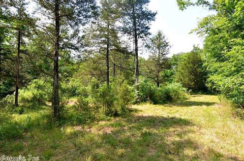 153 Raspberry Ln, Mena, AR 71953 photo 24