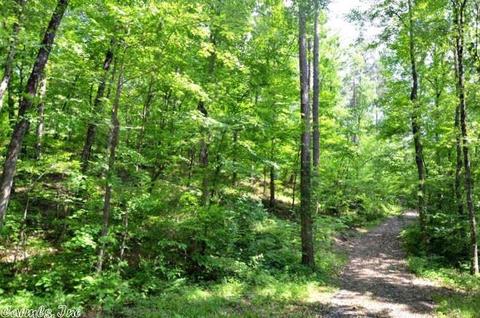 153 Raspberry Ln, Mena, AR 71953 photo 33