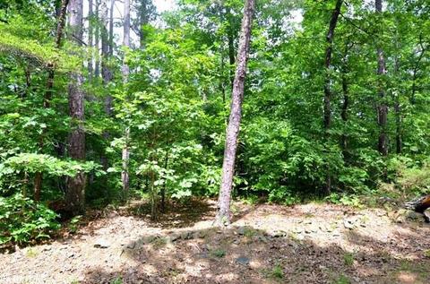 153 Raspberry Ln, Mena, AR 71953 photo 37