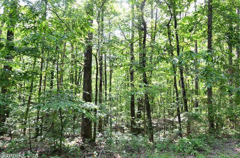 153 Raspberry Ln, Mena, AR 71953 photo 21