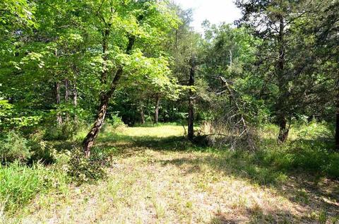 153 Raspberry Ln, Mena, AR 71953 photo 18