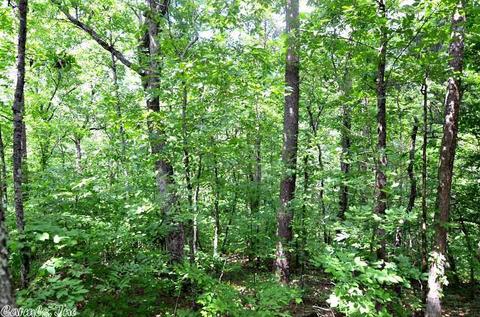 153 Raspberry Ln, Mena, AR 71953 photo 40