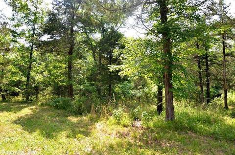 153 Raspberry Ln, Mena, AR 71953 photo 23