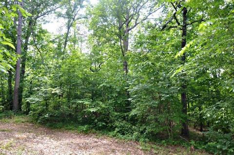 153 Raspberry Ln, Mena, AR 71953 photo 36
