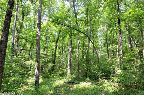 153 Raspberry Ln, Mena, AR 71953 photo 32