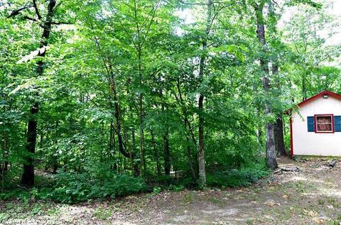 153 Raspberry Ln, Mena, AR 71953 photo 16