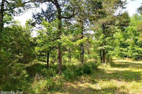 153 Raspberry Ln, Mena, AR 71953 photo 31