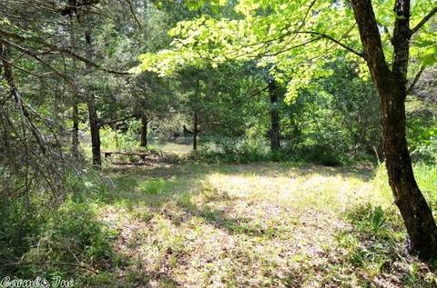153 Raspberry Ln, Mena, AR 71953 photo 30