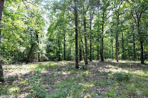 153 Raspberry Ln, Mena, AR 71953 photo 19