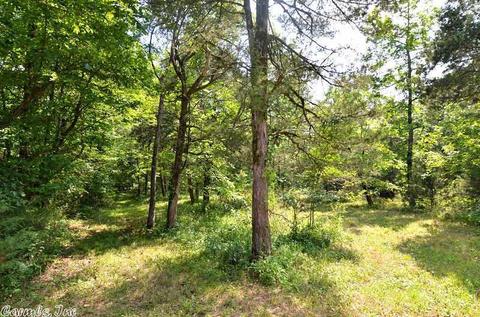 153 Raspberry Ln, Mena, AR 71953 photo 22