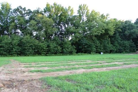 265 Sandy Crk, Ward, AR 72176 photo 38
