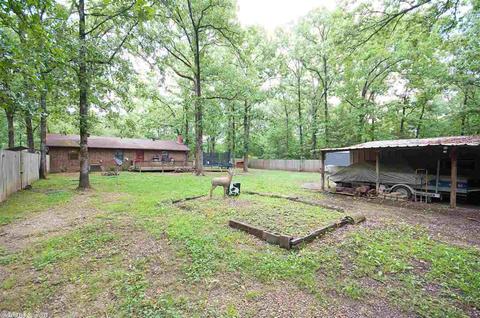 470 Lower Rdg, Conway, AR 72032 photo 17