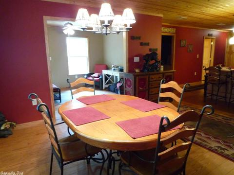 103 E Travis Ln, Mount Ida, AR 71957 photo 6