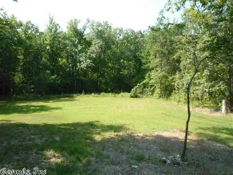 103 E Travis Ln, Mount Ida, AR 71957 photo 8