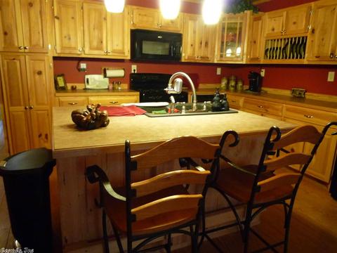 103 E Travis Ln, Mount Ida, AR 71957 photo 9