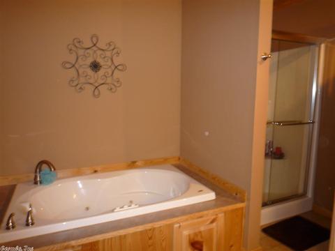 103 E Travis Ln, Mount Ida, AR 71957 photo 18