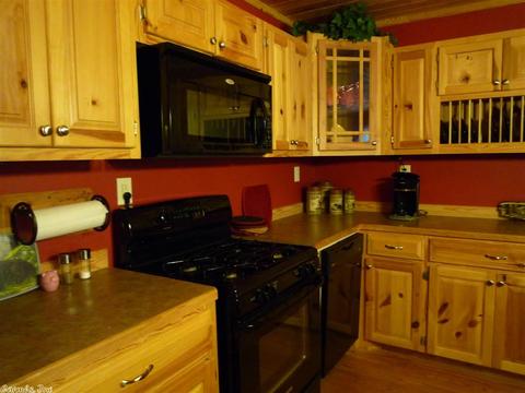 103 E Travis Ln, Mount Ida, AR 71957 photo 13