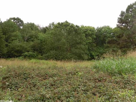 671 Lambert Rd, Bismarck, AR 71929 photo 1