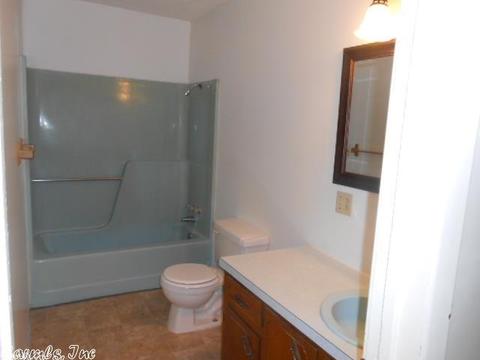 314 Yellow Jacket, Clinton, AR 72031 photo 11