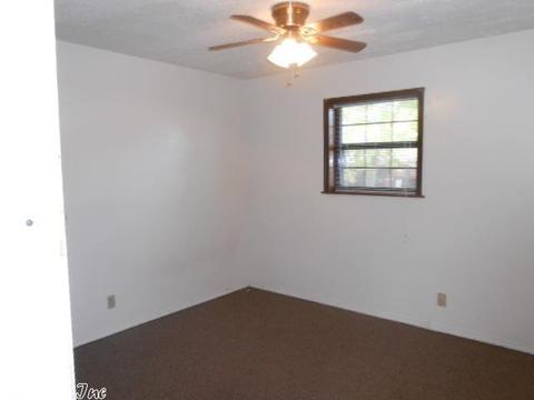 314 Yellow Jacket, Clinton, AR 72031 photo 12