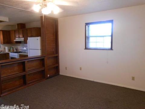 314 Yellow Jacket, Clinton, AR 72031 photo 10