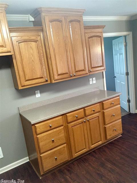 10 Fuscata Loop, Lonoke, AR 72086 photo 4