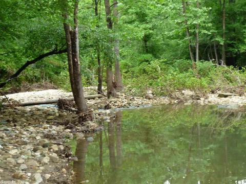 60 Holly Rdg, Mount Ida, AR 71957 photo 27