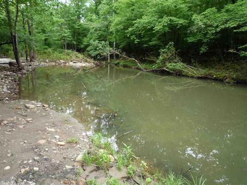 60 Holly Rdg, Mount Ida, AR 71957 photo 25