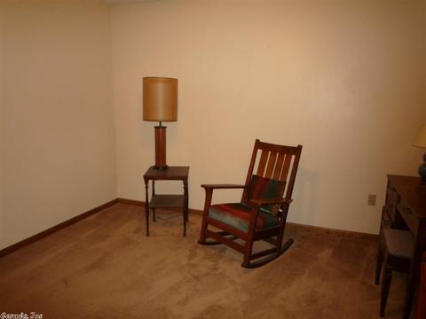 60 Holly Rdg, Mount Ida, AR 71957 photo 18