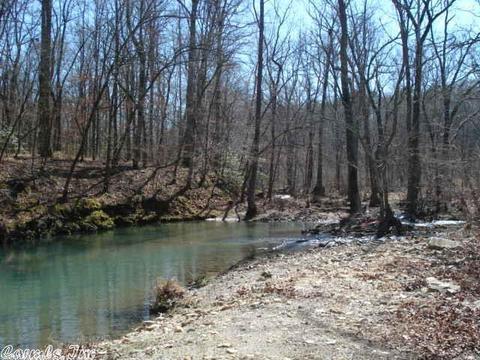 60 Holly Rdg, Mount Ida, AR 71957 photo 6
