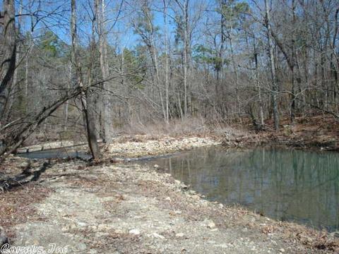 60 Holly Rdg, Mount Ida, AR 71957 photo 5