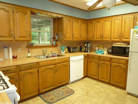 60 Holly Rdg, Mount Ida, AR 71957 photo 3