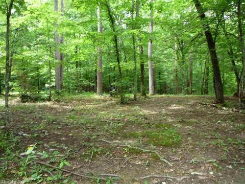 60 Holly Rdg, Mount Ida, AR 71957 photo 29