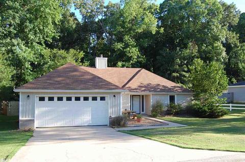 2603 Eagle Run Dr, Benton, AR 72015 photo 3