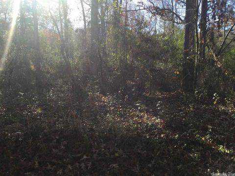 23 Oddie Ln, Ward, AR 72176 photo 1