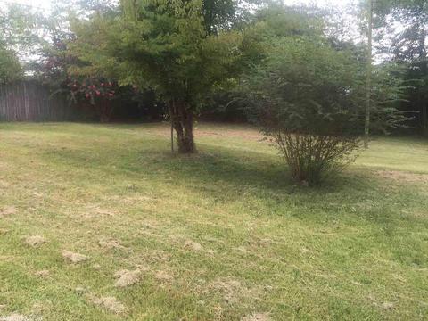 606 Herman, Dierks, AR 71833 photo 6