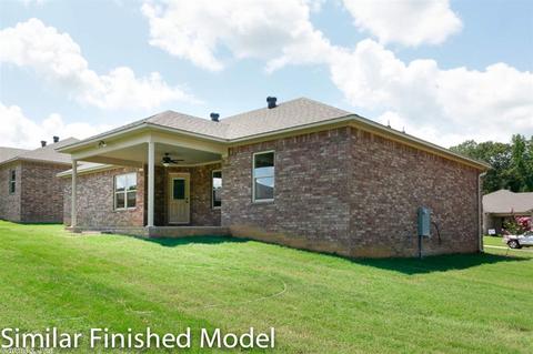 33 Sierra Dr, Austin, AR 72007 photo 4