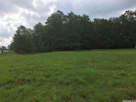 3 Beene Dr, Greenbrier, AR 72058 photo 1