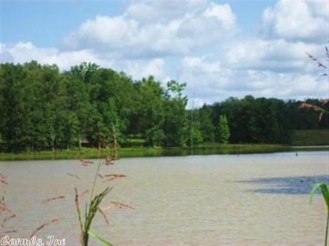 908 Parkside Dr, Redfield, AR 72132 photo 23