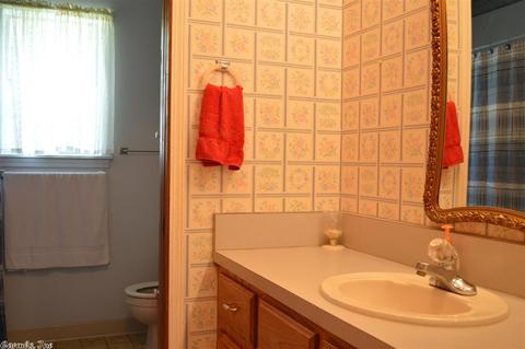 2 E Main, Damascus, AR 72039 photo 21