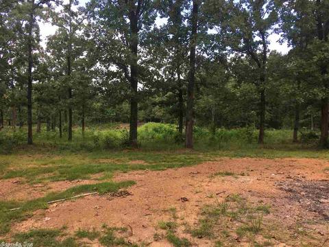 59 Piney Rd, Bigelow, AR 72016 photo 22