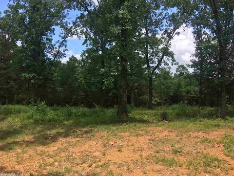 59 Piney Rd, Bigelow, AR 72016 photo 25