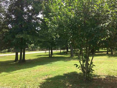 59 Piney Rd, Bigelow, AR 72016 photo 29